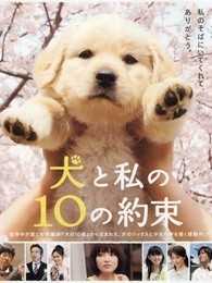 狗狗与我的十个约定
