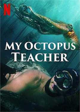 我的章鱼老师