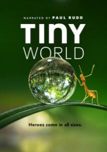 小小世界第一季