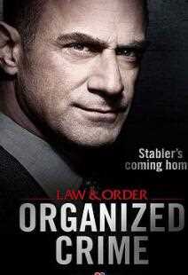 法律与秩序：组织犯罪第..