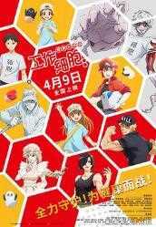 工作细胞：细胞大作战