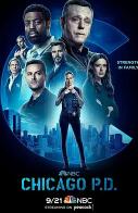 芝加哥警署第十季