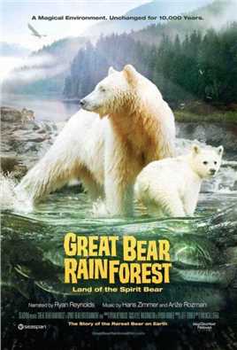 大熊雨林，灵熊之地