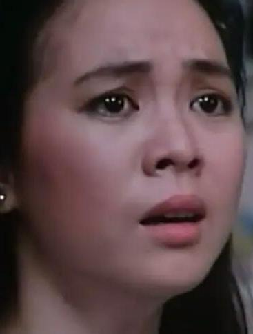 合家欢阿萍的扮演者是郑文雅