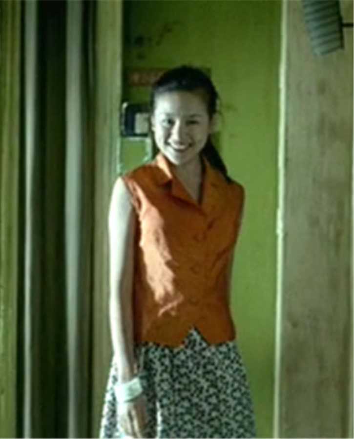 2046王洁雯的扮演者是董洁