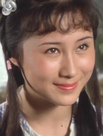 少林寺白无瑕的扮演者是丁岚