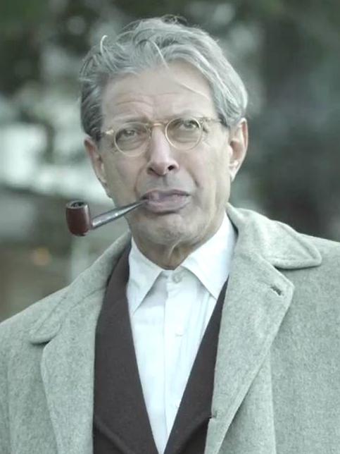 群山华莱士·费因斯