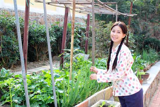 在世界中心呼唤爱美琴