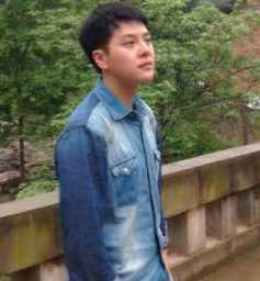 雨中的树杜晓玟