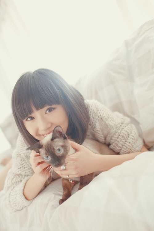 一场奋不顾身的爱情丁人人