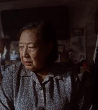 万家灯火何老太