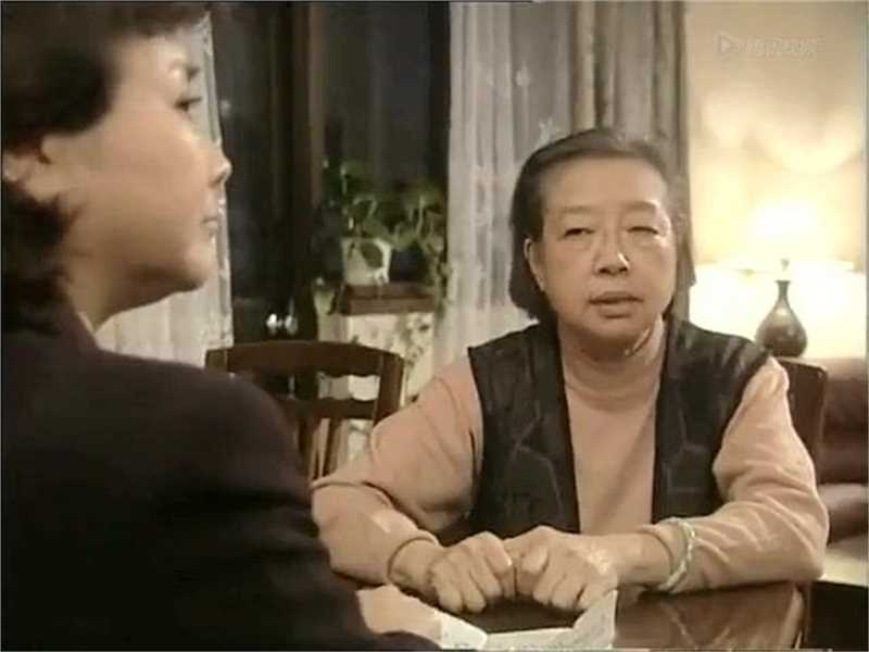 田教授家的二十八个保姆田母