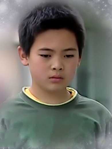 铠甲勇士王向阳