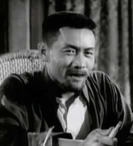 英雄虎胆李汉光