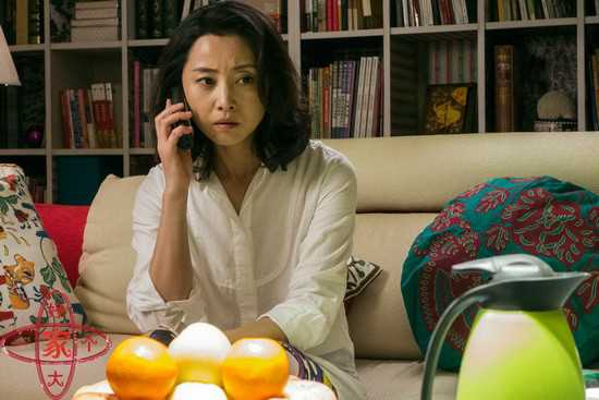 好大一个家李婉华