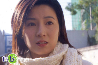 勇探实录马慧兰