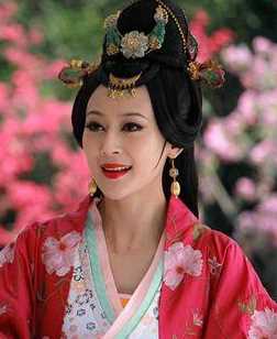 大兵小将陵夫人