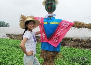 潮人夏茉的扮演者是傅淼