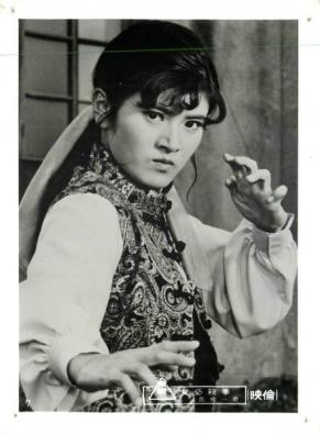 女必杀拳李红龙