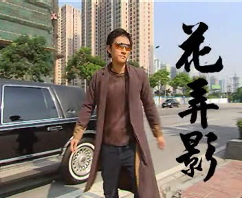 功夫足球花弄影