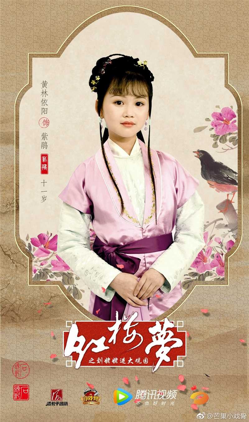 小戏骨：红楼梦之刘姥姥进大观园紫鹃的扮演者是黄林依阳