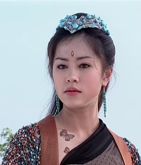 杨门女将之女儿当自强金陵公主