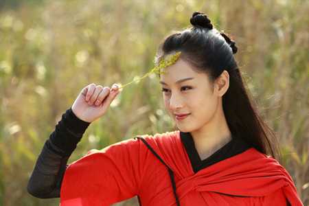 天龙八部木婉清