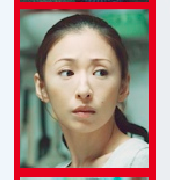 嫌疑人X的献身花冈靖子