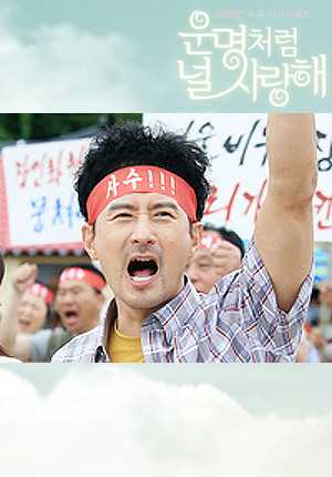 命运一样爱着你崔高峰