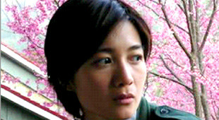 圣棱的星光陆清