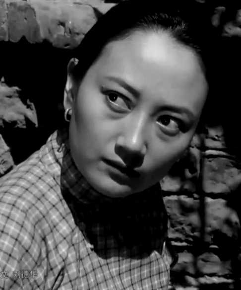 野火春风斗古城银环