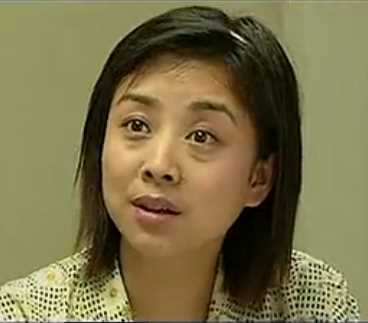 没有冬天的海岛柳冰