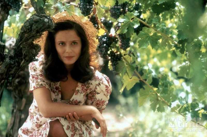 云中漫步维多利亚·阿拉贡