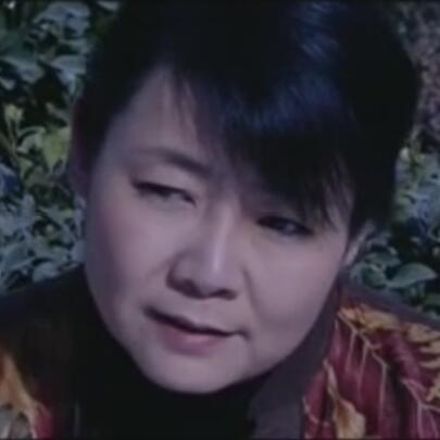 谁为你作证龙小妹