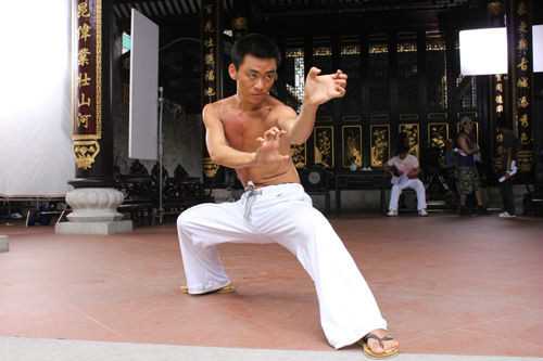 蔡李佛拳陈国成的扮演者是王宝强