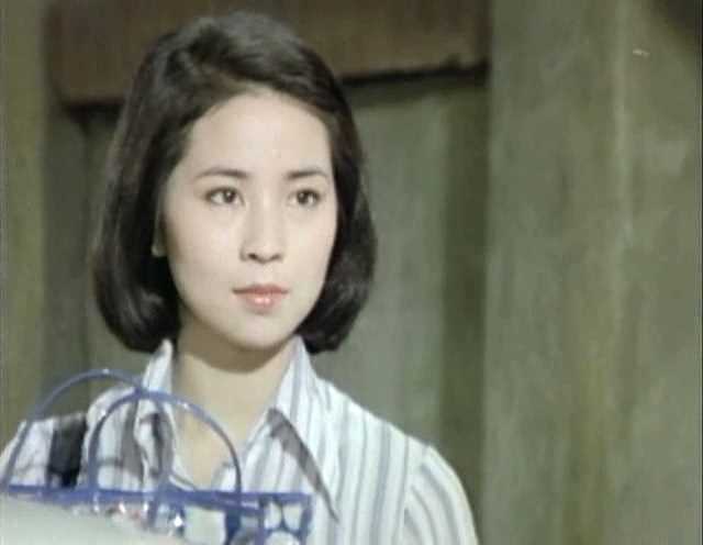 汪洋中的一条船吴继钊的扮演者是林凤娇