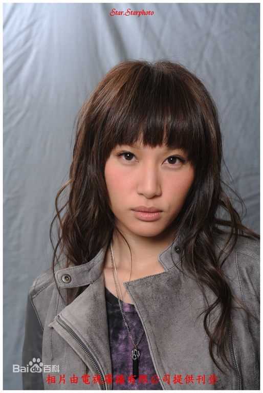 雷霆扫毒陈家碧