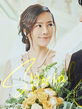 合法伴侣薇薇安