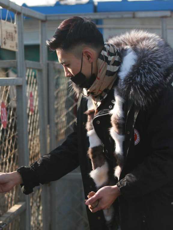 我的英雄年轻罗汉