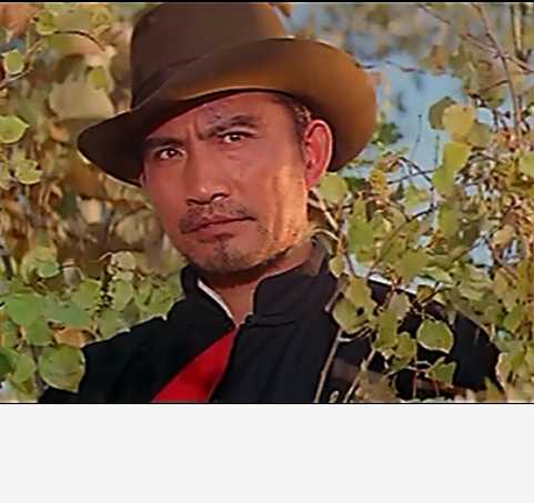 原野仇虎的扮演者是杨在葆