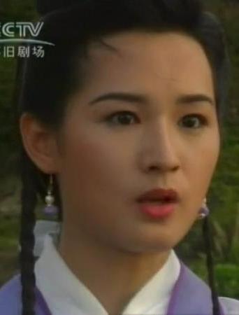 碧血青天杨家将卫灵儿