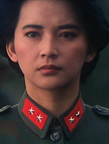 卫斯理之霸王卸甲阮文凤