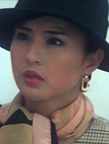 卫斯理之霸王卸甲王安娜