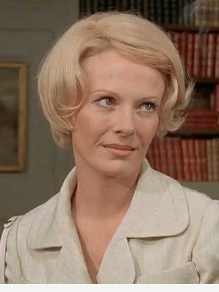 资产阶级的审慎魅力西蒙娜·泰夫诺