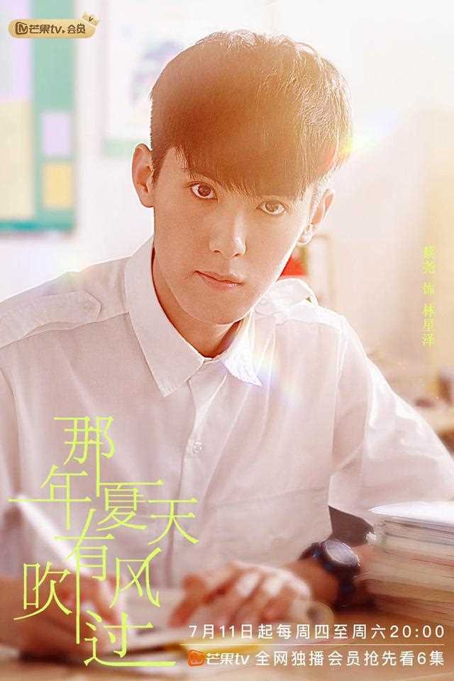 那年夏天有风吹过林星泽