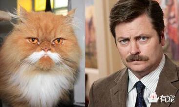 夏日之王弗兰克