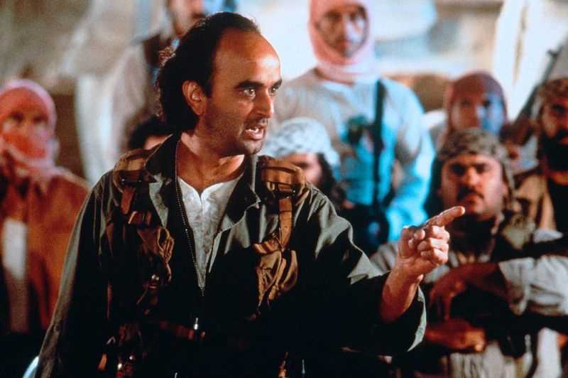 真实的谎言萨利姆