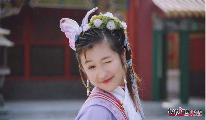 少年大钦差十公主