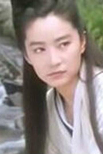 鹿鼎记Ⅱ：神龙教龙儿