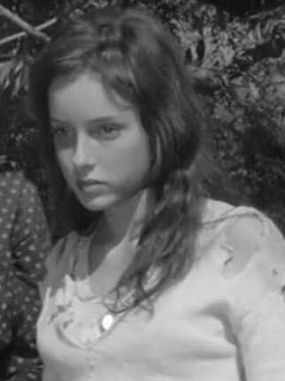 烽火母女泪洛塞塔